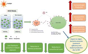 Toxicity of the mixture of nanoparticles to algae–bacteria consortia in OECD media†