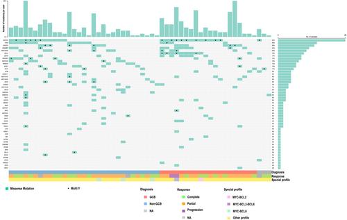 Liquid biopsy for molecular characterization of diffuse large B-cell lymphoma and early assessment of minimal residual disease