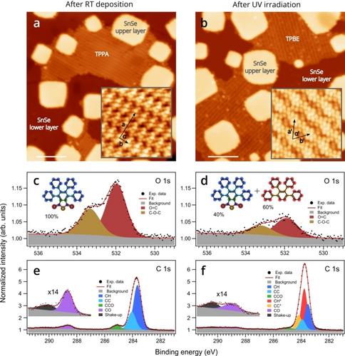 Controlling On-Surface Photoactivity: The Impact of π-Conjugation in Anhydride-Functionalized Molecules on a Semiconductor Surface