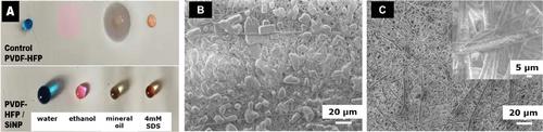 Advancing Surface-Enhanced Electrospun Nanofiber Membranes: Customizing Properties for Enhanced Performance in Membrane Distillation