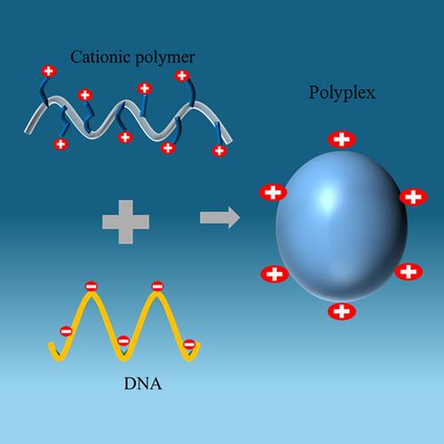 A facile and scalable method to synthesize PEGylated PDMAEMA for gene delivery