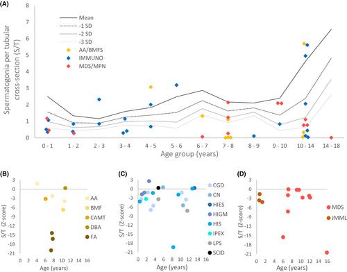 Decreased spermatogonial numbers in boys with severe haematological diseases