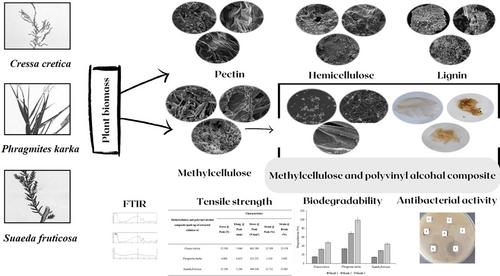 Extraction of cellulose from halophytic plants for the synthesis of a novel biocomposite