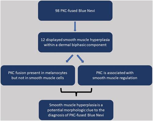 Smooth muscle hyperplasia in protein kinase C-fused blue naevi: Report of 12 cases