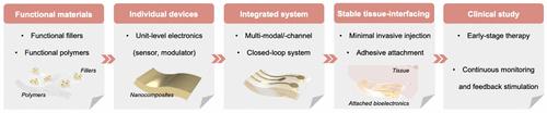 Stretchable Functional Nanocomposites for Soft Implantable Bioelectronics