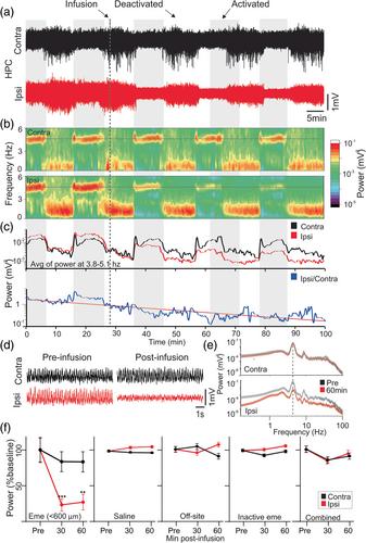 The translational inhibitor and amnestic agent emetine also suppresses ongoing hippocampal neural activity similarly to other blockers of protein synthesis