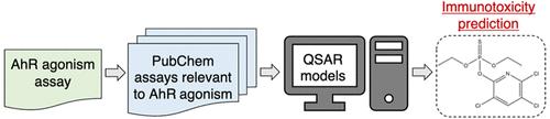 Predicting Chemical Immunotoxicity through Data-Driven QSAR Modeling of Aryl Hydrocarbon Receptor Agonism and Related Toxicity Mechanisms