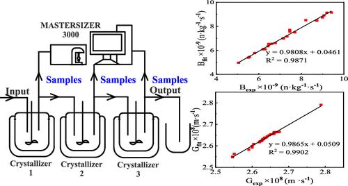 Continuous Crystallization Kinetics of Cefradine in a Mixed Suspension Mixed Product Removal System
