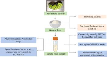 Exploring the nutritional, physicochemical and hypoglycemic properties of green banana flours from unexploited banana cultivars of southern India†