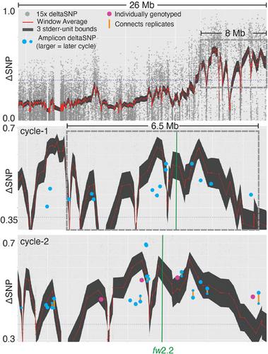 Agile Genetics: Single gene resolution without the fuss