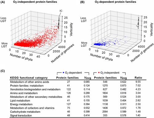 The radical impact of oxygen on prokaryotic evolution—enzyme inhibition first, uninhibited essential biosyntheses second, aerobic respiration third