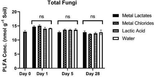 The fate and biostimulant potential of metal lactates in silt loam soil