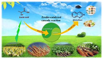 Catalytic cascade gas-phase heterocyclization of lactic acid and aniline into quinolones over mesoporous Hβ zeolite