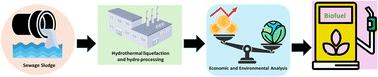 Hydrothermal liquefaction integrated with wastewater treatment plants – life cycle assessment and technoeconomic analysis of process system options†