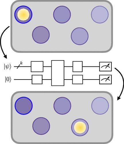 Singular Value Decomposition Quantum Algorithm for Quantum Biology