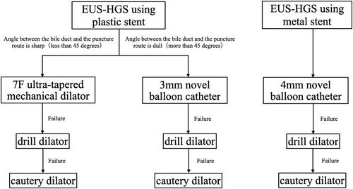 One-step tract dilation using a novel long balloon catheter during endoscopic ultrasound-guided hepaticogastrostomy