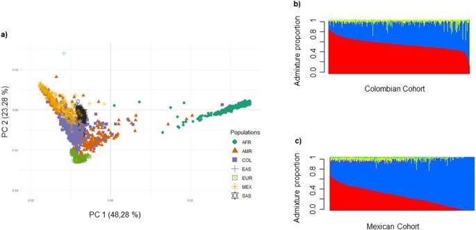 Exploring the relationship between admixture and genetic susceptibility to attention deficit hyperactivity disorder in two Latin American cohorts