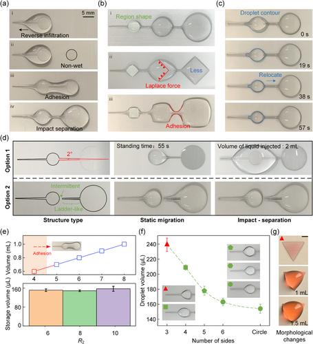 Quantitative liquid storage by billiards-like droplet collision on surfaces with patterned wettability