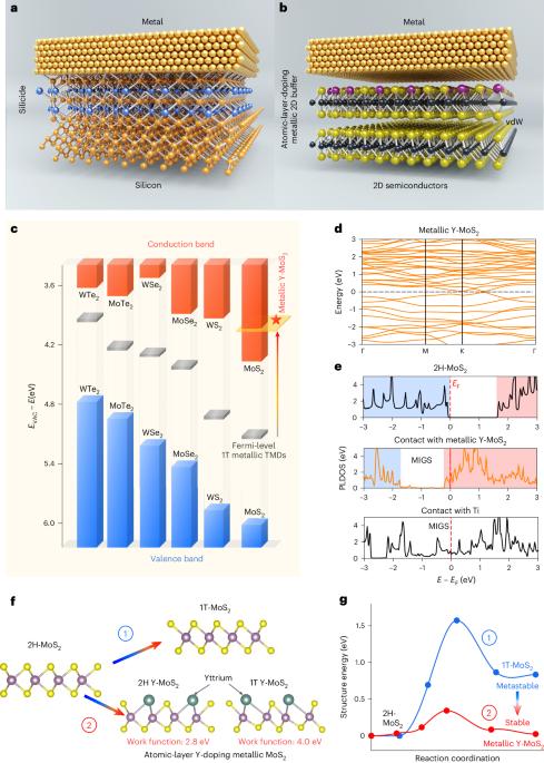 Yttrium-doping-induced metallization of molybdenum disulfide for ohmic contacts in two-dimensional transistors