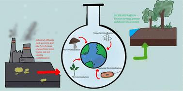 Bioremediation – the recent drift towards a sustainable environment