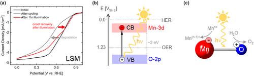 Time-Resolved Oxidation State Changes Are Key to Elucidating the Bifunctionality of Perovskite Catalysts for Oxygen Evolution and Reduction