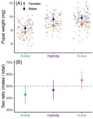 Reproductive compatibility of two lines of Delia platura