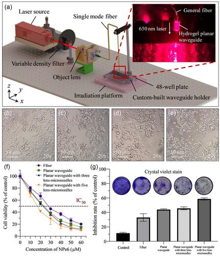 Biocompatible and Implantable Hydrogel Optical Waveguide with Lens-Microneedles for Enhancing Light Delivery in Photodynamic Therapy