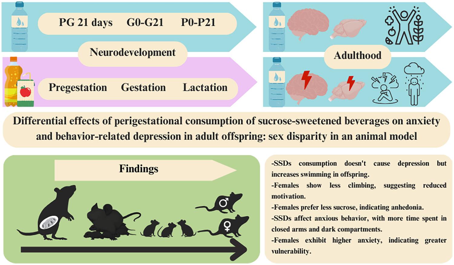 Differential effects of perigestational consumption of sucrose-sweetened beverages on anxiety and depression-related behaviors in adult offspring: Sex disparity in a mouse model