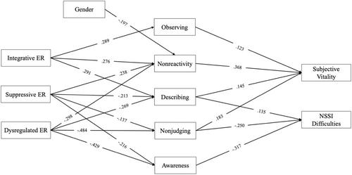 A self-determination theory perspective on the relationship between emotion regulation styles, mindfulness facets, and well-being in adults with self-injury