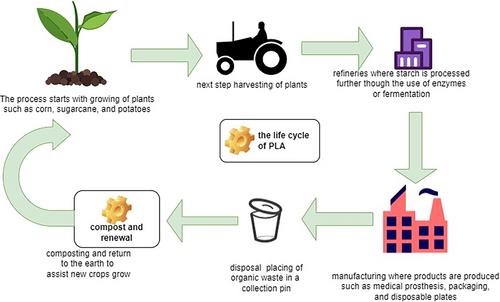 Pivotal role of polylactide in carbon emission reduction: A comprehensive review