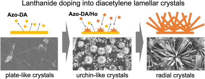 Changes in crystal morphology induced by lanthanide doping into diacetylene lamellar crystals