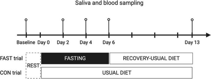 Exploring the effect of prolonged fasting on kynurenine pathway metabolites and stress markers in healthy male individuals