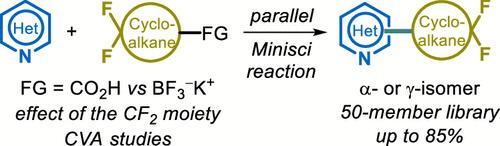 Parallel Minisci Reaction of gem-Difluorocycloalkyl Building Blocks