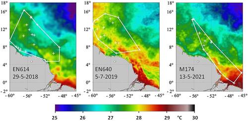 The Amazon River plume—a Lagrangian view