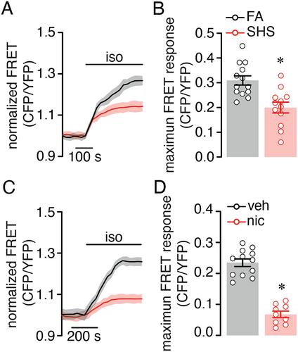 Nicotine Impairs Smooth Muscle cAMP Signaling and Vascular Reactivity