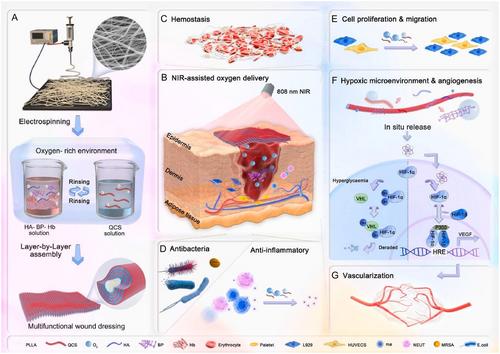 Advances of Nanobiomaterials for Treating Skin Pathological Fibrosis