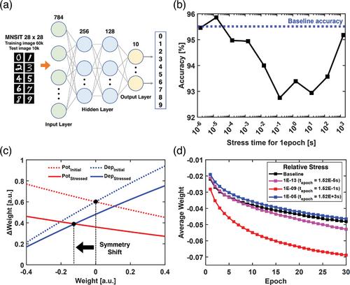 Field Induced Off-State Instability in InGaZnO Thin-Film Transistor and its Impact on Synaptic Circuits