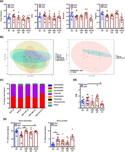 Differing contributions of the gut microbiota to the blood pressure lowering effects induced by first-line antihypertensive drugs