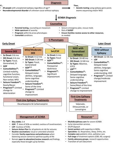 Global modified Delphi consensus on diagnosis, phenotypes, and treatment of SCN8A-related epilepsy and/or neurodevelopmental disorders