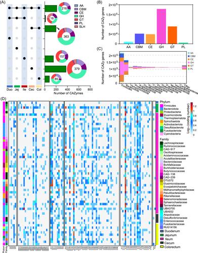 Duck gut metagenome reveals the microbiome signatures linked to intestinal regional, temporal development, and rearing condition