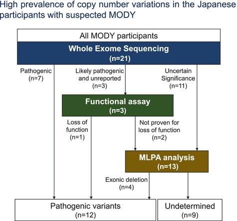 High prevalence of copy number variations in the Japanese participants with suspected MODY