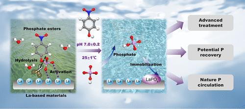 Lanthanum Materials Enable Catalytic Hydrolysis of Phosphate Esters: Implications for Water Treatment and Eutrophication Control