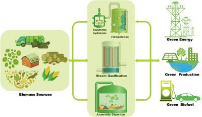 State-of-the-Art Review of Biomass Gasification: Raw to Energy Generation