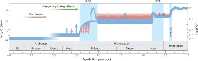 Co‐evolution of early Earth environments and microbial life