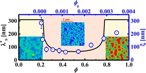 Pattern Formation in Evaporating Polymer Solutions─Interplay between Dewetting and Decomposition