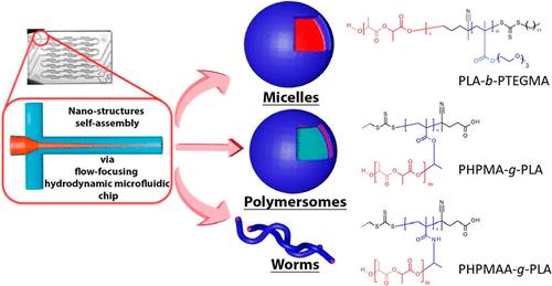 Microfluidic Controlled Self-Assembly of Polylactide (PLA)-Based Linear and Graft Copolymers into Nanoparticles with Diverse Morphologies