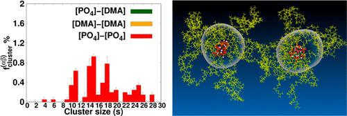 Exploring the Role of Hydroxy- and Phosphate-Terminated cis-1,4-Polyisoprene Chains in the Formation of Physical Junction Points in Natural Rubber: Insights from Molecular Dynamics Simulations