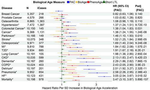 Proteomic aging clock (PAC) predicts age-related outcomes in middle-aged and older adults