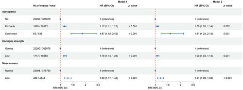 Association of sarcopenia with the long-term risk of atrial fibrillation: A prospective cohort study