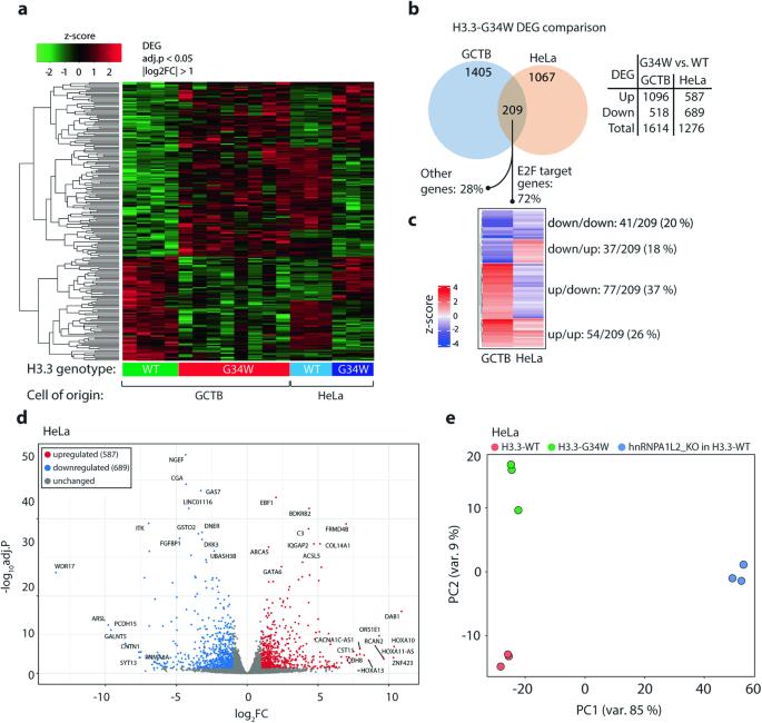 H3.3-G34W in giant cell tumor of bone functionally aligns with the exon choice repressor hnRNPA1L2